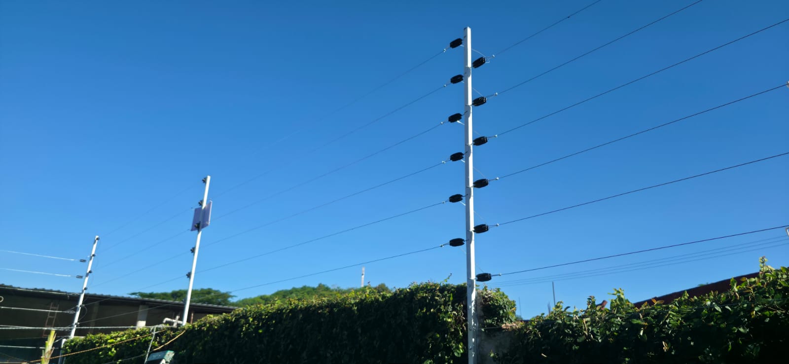Cercos eléctricos